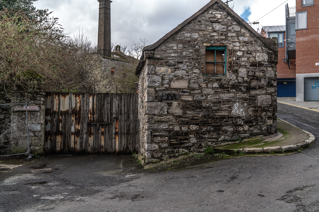 Property damage inspection and assessment of building structure by professional